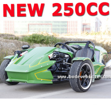 2015 NEU Porzellan 250cc Chopper Dreirad Trike Motorrad (MC-369)